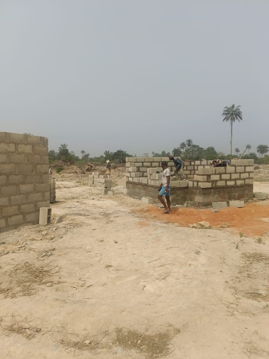 IMG-20250125-WA0145(1)